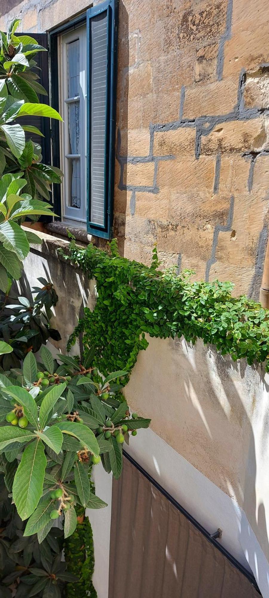 レッチェ Massa House Bed & Breakfast 部屋 写真